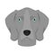 Weimaraner dog isolated on white background vector illustration