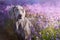 Weimaraner dog in lavander