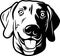 Weimaraner - Funny Dog, Vector File, Cut Stencil for Tshirt
