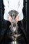 Weimaraner puppy sits like a statuette, a portrait of a dog, the hostess protects the puppy. The concept of protection and love of