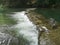 A weir on a small stream in the deep forest.