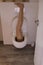 Weird image of a leg inside a toilet