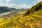 Weissenkirchen Wachau Austria in autumn colored leaves and vineyards