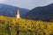 Weissenkirchen. Wachau valley. Lower Austria. Autumn colored leaves and vineyards.