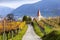 Weissenkirchen. Wachau valley. Lower Austria. Autumn colored leaves and vineyards.