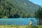 Weissensee - A duck standing at the side of the lake