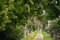 Weissensee Jewish Cemetery Landscape Tombs man and tree scene in Berlin Germany