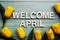 Welcome April alphabet with yellow tulip flower on wooden background