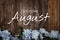 Welcome August text and blue flower decoration on wooden background