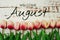 Welcome August text and tulip flower decoration on wooden background