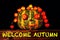 Welcome autumn - text on a wooden surface with a decorative pumpkin - a symbol of autumn, on a dark background. The