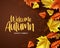 Welcome autumn vector background. Autumn season maple and oak leaves