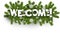 Welcome background with fir branches.