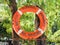 Welcome Circular red Life Buoy hanging on the tamarind tree