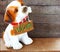 Welcome dog on wooden background still life