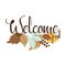 Welcome fall autumn text, with colorful leaves.