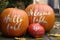 Welcome fall Pumpkins - in front of a house