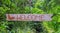 Welcome inscription by red paint on wooden board, green tropical garden background