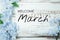 Welcome March text and blue flower decoration on wooden background