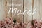 Welcome March typography text with pink flowers bouquet on wooden background