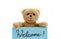 Welcome message from brown teddy bear holding with the two hands a note in blue color with the handwritten message
