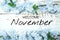 Welcome November text and blue flower decoration on wooden background