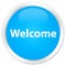 Welcome premium cyan blue round button