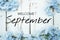 Welcome September text and blue flower decoration on wooden background