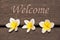 Welcome sign, plumeria flowers