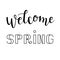 Welcome Spring hand lettering. Vector inspirational lettering.