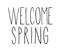 Welcome spring headline. Hand drawn calligraphy title text.