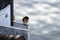 Welcome Swallow (Hirundo neoxena) resting on a pillar of Jetty