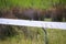 Welcome swallows resting on fence