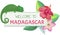 Welcome to madagascar banner with hand written word, funny animal chameleon, flowers and leaves