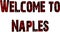 Welcome to Naples text sign illustration