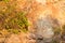 Welcome written on a mountain rock