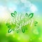 Welcoming the springtime. Hello Spring. Hand lettering text and green leaves, vector illustration.