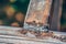 Welded metal profile on a nature background. Corner