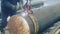 Welder cuts large diameter metal pipe and sparks fly. Industrial pipe cutting device. Stabilized video. Authentic