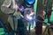 Welder is working welding pipe carbon with process Tungsten Inert Gas Welding or Gas Tungsten Arc Welding(GTAW)