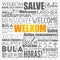 Welkom Welcome in Afrikaans word cloud