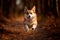 Well-built, strong and athletic Welsh Corgi dog is running. Quick and agile breed. Generative AI