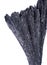 Well defined black Kyanite fan from Brazil