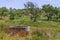 Well in a farm field in Vale Seco, Santiago do Cacem