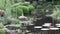 The well framed pond of the Japanese garden within Brisbane`s Mount Coo-tha Botanic gardens, Australia.