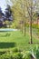 Well-groomed lawn with pool on backyard