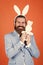 well groomed man in wedding formalwear and bunny ears has beard, happy easter