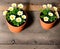 A well illuminated flower pot with flowers in the middle of a wood table seen from far above