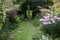 Well kept garden with lawn, stepping stones and well stocked flower beds. Oxford, UK.