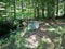 A well made of concrete rings built in the forest next to a stream